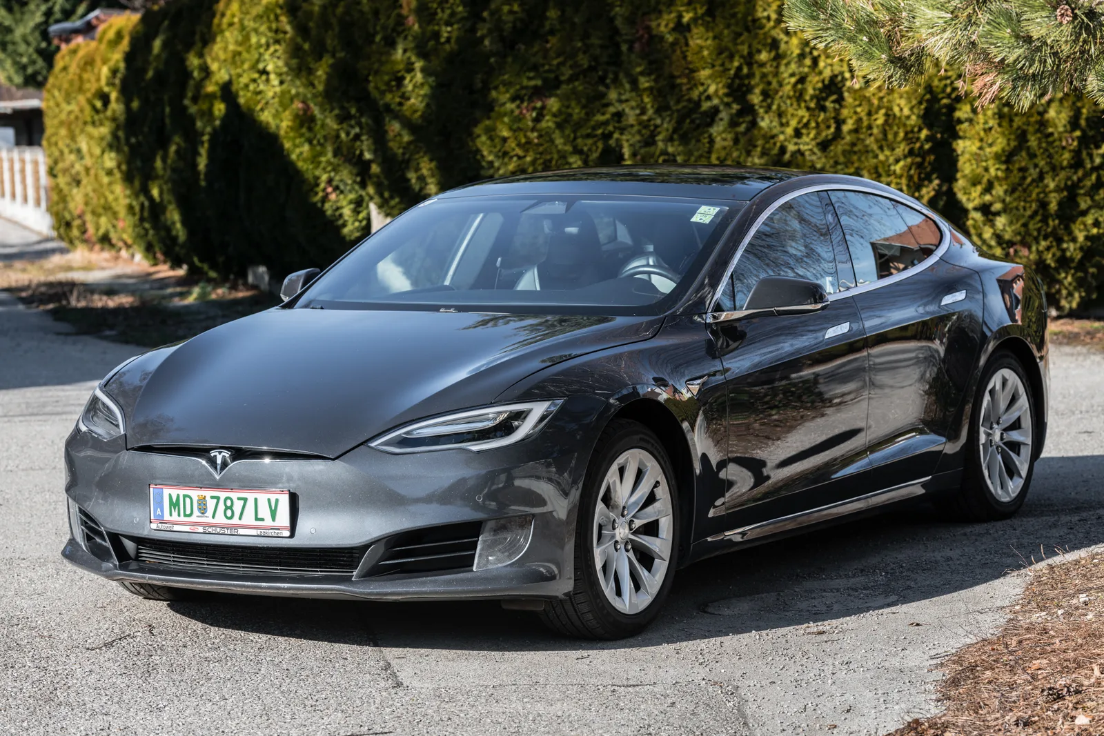 Model S