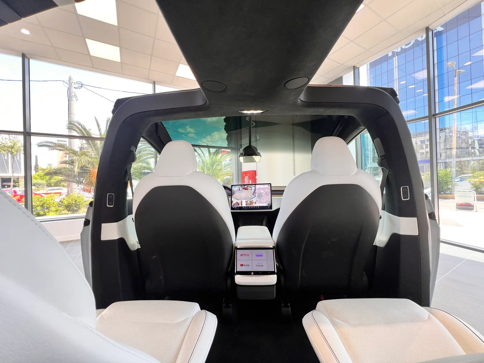 Model X