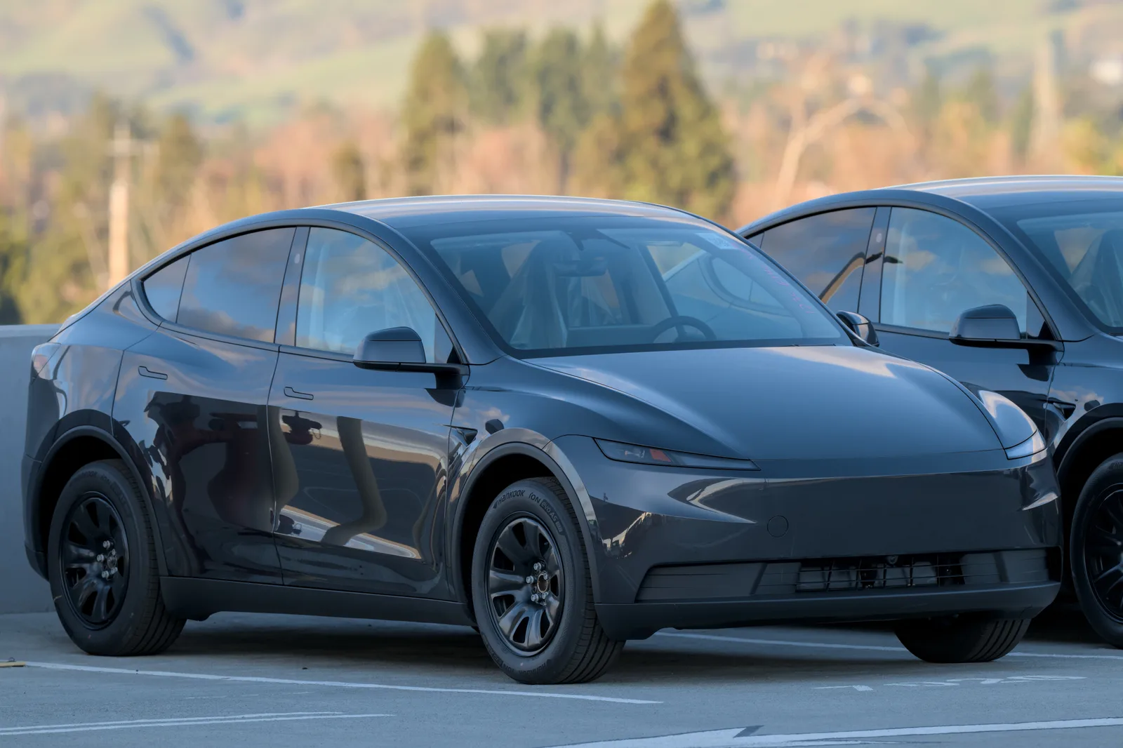 Model Y